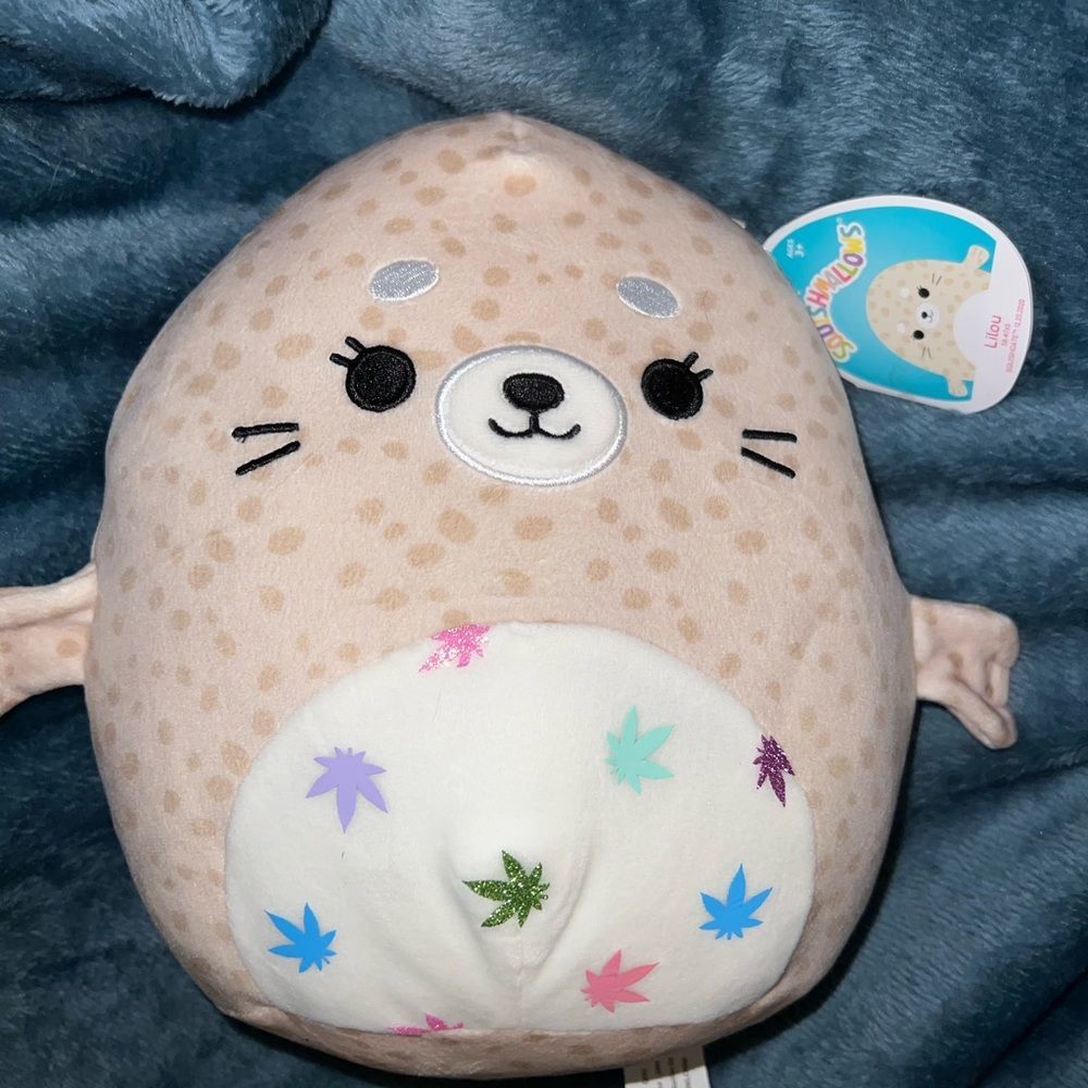 Custom Squishmallow